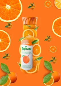 Best Digital Marketing Expert In Kerala. Tropicano